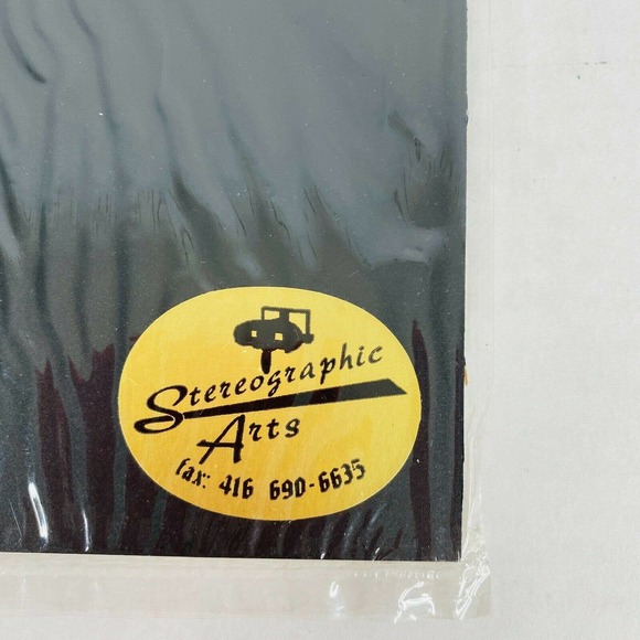 Couple Niagara Falls‎ NY Stereoview 3d Photo - Picture 7 of 8